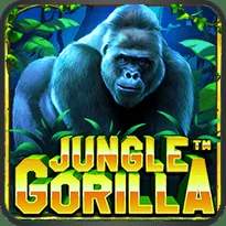 jungle of gorilla