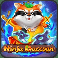ninja raccoon